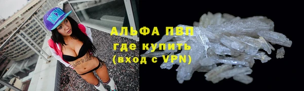 PSILOCYBIN Касимов
