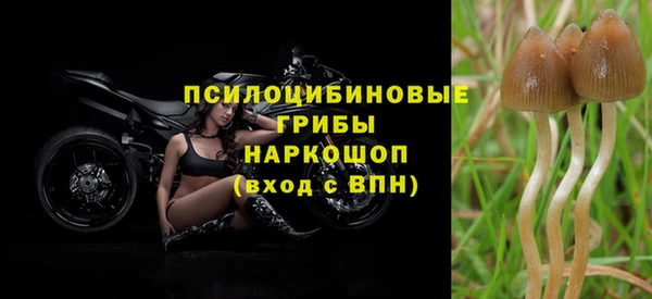 бошки Карпинск